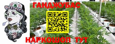 твердый Лесосибирск