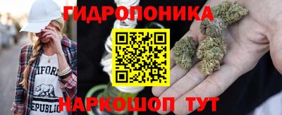 шишки Ливны