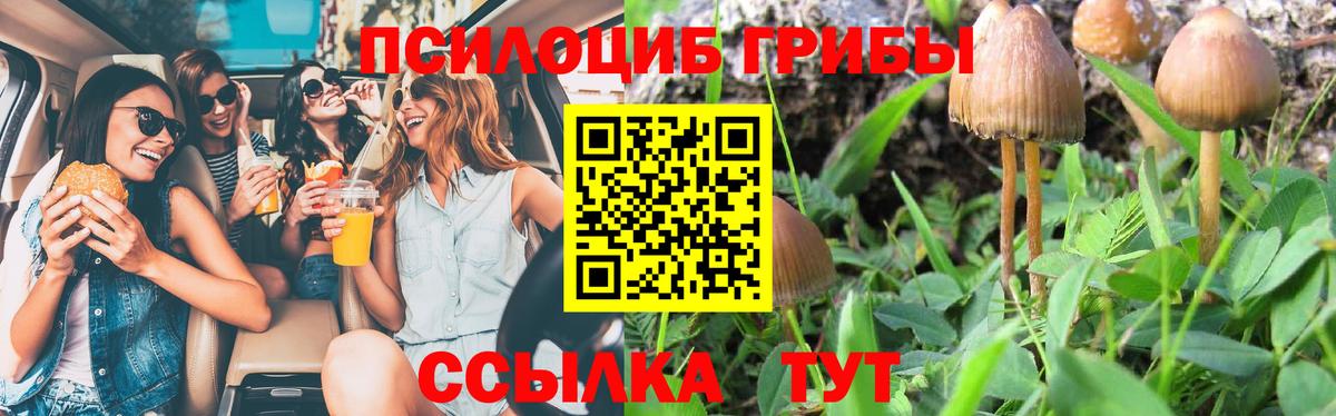 Псилоцибиновые грибы GOLDEN TEACHER Чебоксары