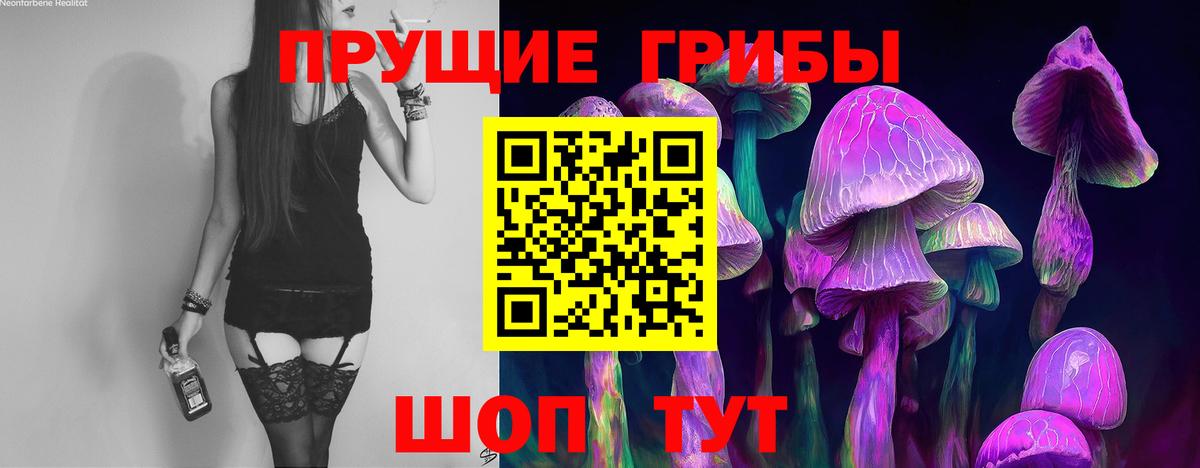 Псилоцибиновые грибы мицелий  купить наркоту  Чебоксары  Вход с VPN 