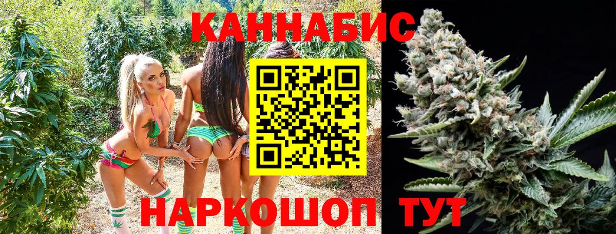Бошки Шишки планчик Чебоксары